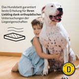 Dalstra Hundebett mit Hundekissen Grau