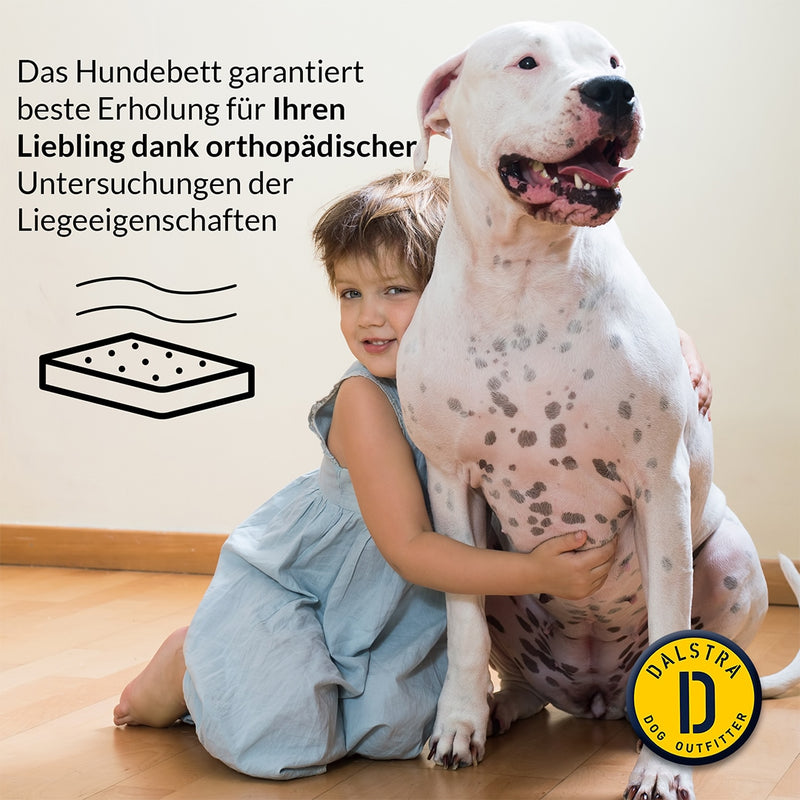 Dalstra Hundebett mit Hundekissen Grau